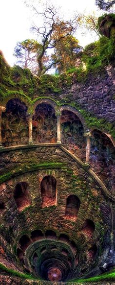 the inside of an old building with moss growing on it