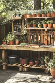 potted plants and gardening tools are displayed on a wooden shelf in front of a garden shed