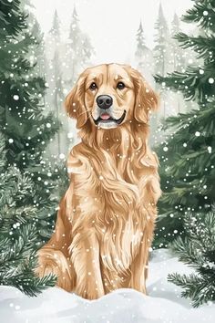 a golden retriever dog sitting in the snow