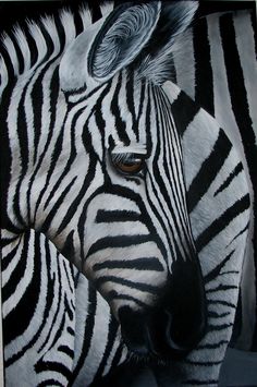 two zebras standing next to each other with their heads close together and looking at the camera