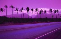 palm trees line the road in front of purple skies and mountains at dusk with clouds