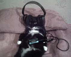 a black and white cat laying on top of a bed with headphones attached to it's ears