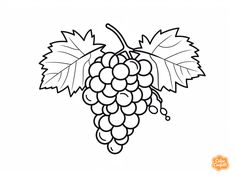 illustration of Grape coloring activity Grape Drawing, Mandala Turtle, Fruit Coloring Pages, Art Adventure, Coloring Activity, Colorful Fruit, Fantasy Fairy, Color Activities, Creative Activities