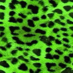 an animal print pattern with black spots and green fur on the back of its coat