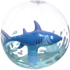 a blue toy shark in a clear ball