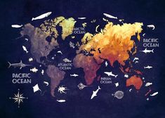 a world map with all the different types of fish on it's sides and names