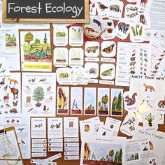 an assortment of forest ecology cards and stickers