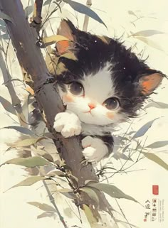 a black and white cat sitting on top of a tree branch next to bamboo leaves