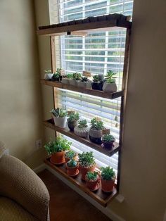 a window sill filled with lots of potted plants