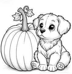 a puppy sitting in front of a pumpkin with leaves on the top, coloring page