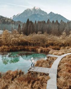 a person standing on a wooden bridge over a lake in the mountains with trees and grass