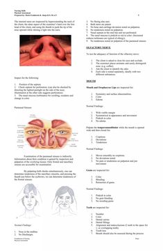 the anatomy of the nose and mouth is shown in this manual for students to learn how to