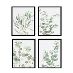 four framed pictures with green leaves on them