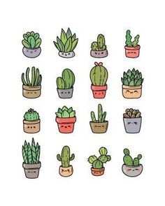 a bunch of potted plants in different shapes and sizes on a white background illustration