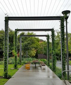 an image of a garden with lots of green plants and benches on the side walk