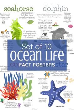 an ocean life poster with the words seahorse, dolphin and starfish on it