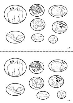 an animal and bird worksheet for preschool