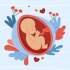 a baby in a frame with flowers and hearts around it, on a blue background