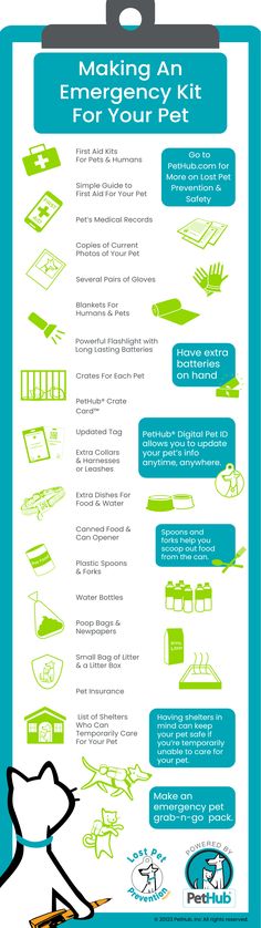 Sometimes weather emergencies mean a handy checklist can be a big help! Check out this infographic on how to make an emergency kit for pets that you can pack and grab if something happens and you need to evacuate or don't have power. #LostPetPrevention #LostPetPreventionMonth #EmergencyKit #EmergencyKitChecklist #PetEmergencyPrep #EmergencyPrep #Checklist #PetKit #Dog #Cat #Toolkit Pet Infographic, Pet Emergency Kit, Planners For College Students, Emergency Preparedness Food, Emergency Preparation, Emergency Plan, Survival Kits, Emergency Prepping