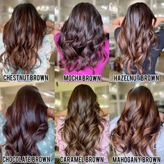 Hazelnut Chocolate Brown Hair, Brown Balayage Cinnamon, Coffee Hair Balayage, Chocolate And Cinnamon Hair, Mocha Carmel Hair, Roasted Coffee Hair Color, Chestnut Color Hair With Highlights, Hair Color Ideas Chestnut Brown, Chocolate Silk Hair