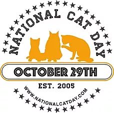 the national cat day logo with three cats and stars around it in black and yellow