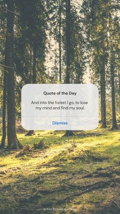 Quotes On Greenery Nature, Greenery Quotes, Nature Lover Aesthetic, Inspirational Nature Quotes, Beautiful Nature Images, Beautiful Nature Photos, Nature Lover Quotes, Nature Quotes Inspirational, Outdoor Greenery