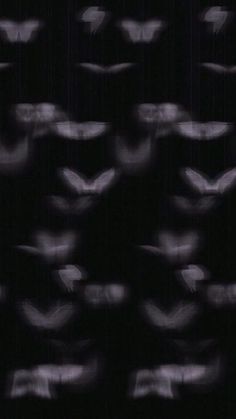 blurry photograph of birds flying in the dark