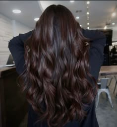 Long Black Hair Brown Highlights, Dark Brown Balayage Long Hair, Long Thick Dark Brown Hair, Obsidian Brunette, Brownie Batter Hair Color Dark, Dark Espresso Brown Hair, Dark Rich Brown Hair Color, Brownie Hair Color, Dark Brown Almost Black Hair