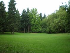 an empty field with trees in the background