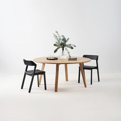 a table with two chairs and a plant on it in front of a white wall