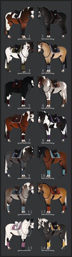 the different types of horses are shown in this graphic style, and each horse has its own color scheme