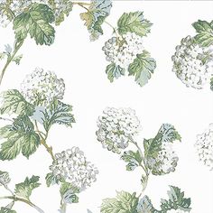 a white and green flowered wallpaper with leaves on the top, bottom right corner