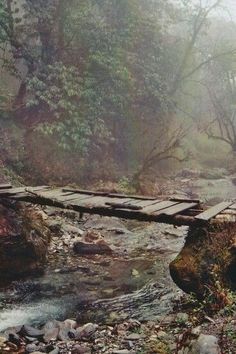 a wooden bridge over a small stream in the middle of a forest filled with rocks and trees