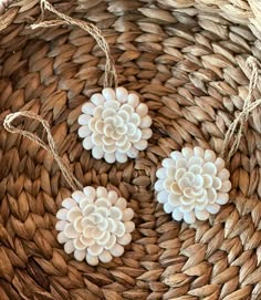 three white flowers are sitting on some woven material