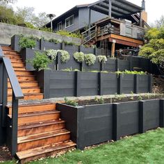 an outdoor garden with wooden steps and plants growing on the side of the house's roof