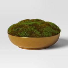 a bowl filled with green moss sitting on top of a table