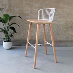 a white chair next to a potted plant on the floor in front of a concrete wall