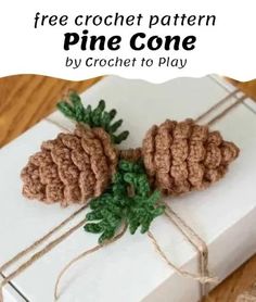 two pine cones on top of a white present box with twine tied around them