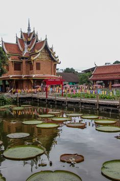 there are many lily pads floating in the water and people walking on the bridge behind them