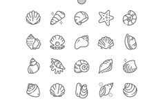 seashells line icons on white background