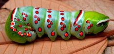 a green and red caterpillar sitting on top of a leaf