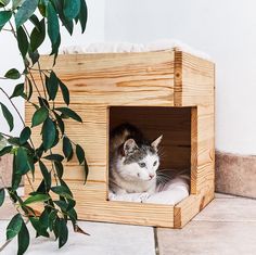 a cat sitting in a wooden house on the floor next to a potted plant