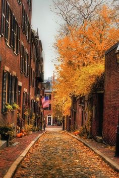 an alley way with brick buildings and autumn leaves on the ground in front of it