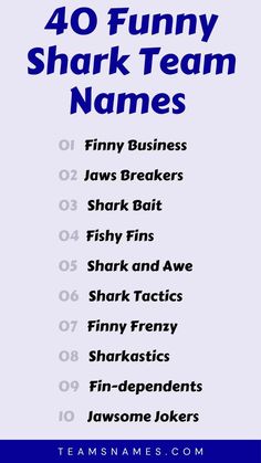 the 40 funny shark team names are in blue and white with black letters on them