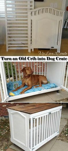 a dog laying on top of a bed in front of a white wooden structure with the words repurposed crib into a dog crate