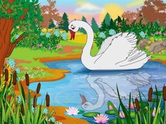 a white swan floating on top of a lake surrounded by green grass and trees,