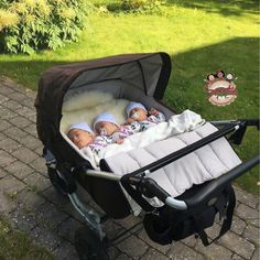 two baby dolls in a stroller on the ground next to some green grass and bushes