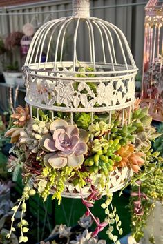 a white birdcage filled with lots of plants