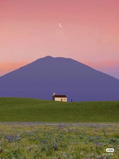 a small house in the middle of a field with a mountain in the back ground