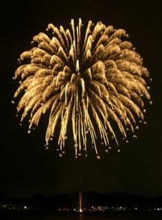 fireworks are lit up in the night sky over water and land, with mountains in the background